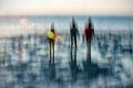 kids on the beach