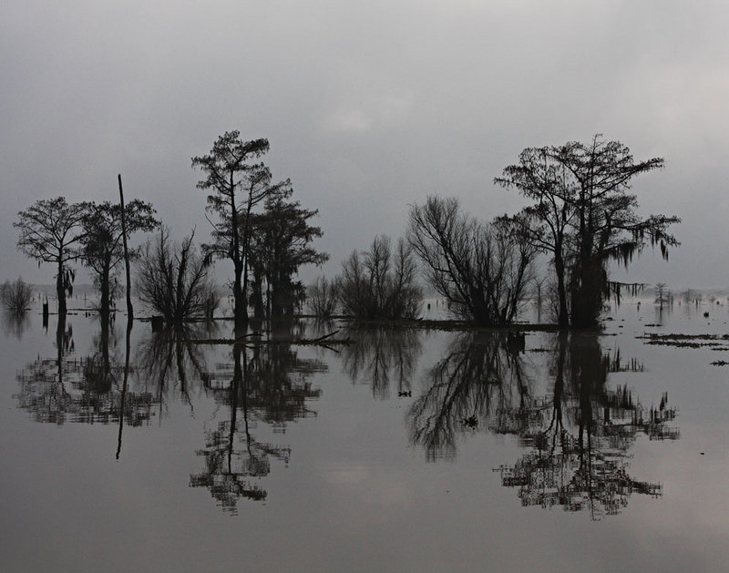bayou-reflection.jpg