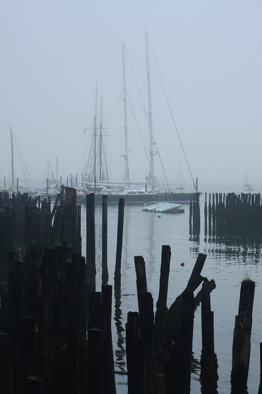 Portland fog.JPG