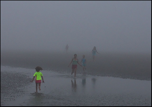 finding friends in the fog