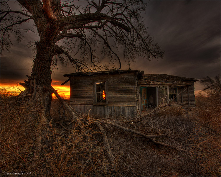 Cotton Farm