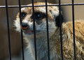Let me OUT!!