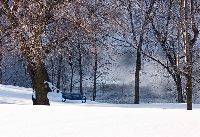 Day-30 Cold morning in Quebec