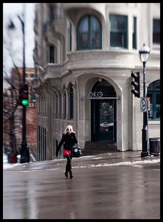 Koko in Montreal