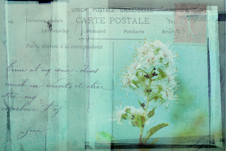 Pastel postcard