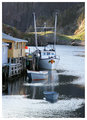 Quidi vidi  Harbour 