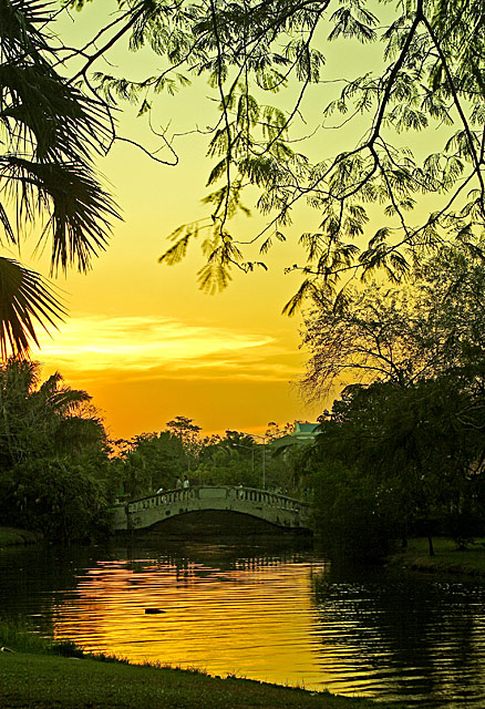 sunset park