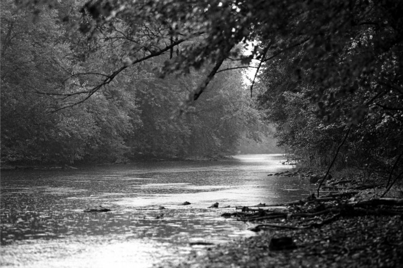 Rain on the Assabet River
