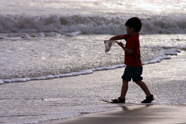 Playing on the Beach
