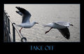 Take Off