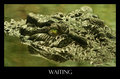 Waiting