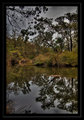 Serpentine River