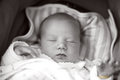 Darcy Jade
