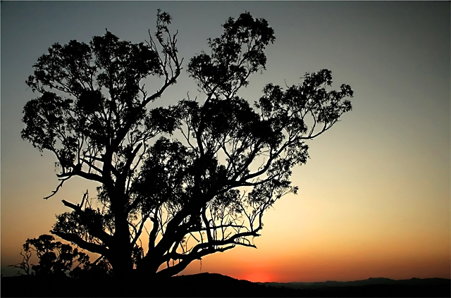 Gradient Sunset