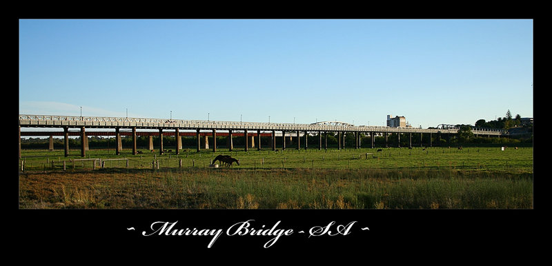 Murray Bridge