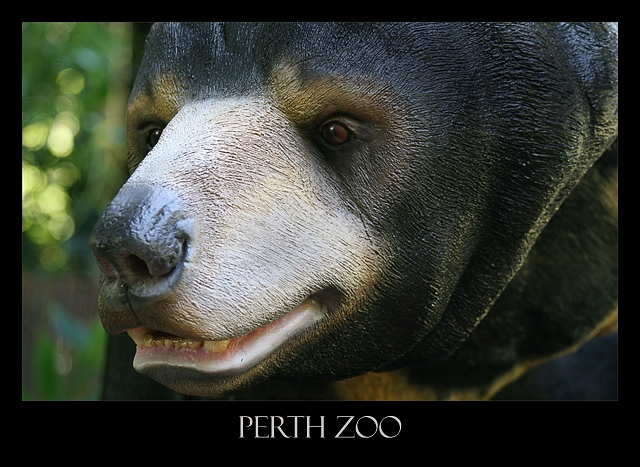 Perth Zoo
