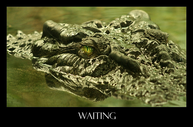 Waiting