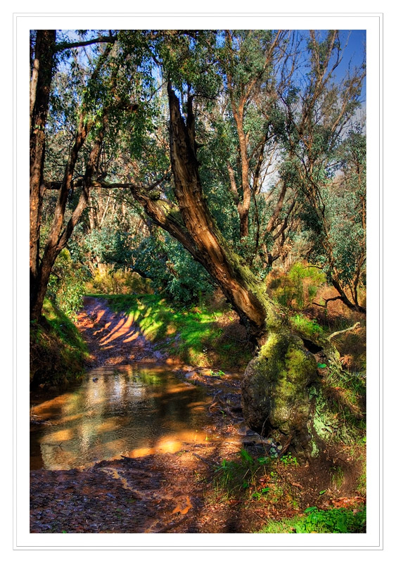 The Crossing