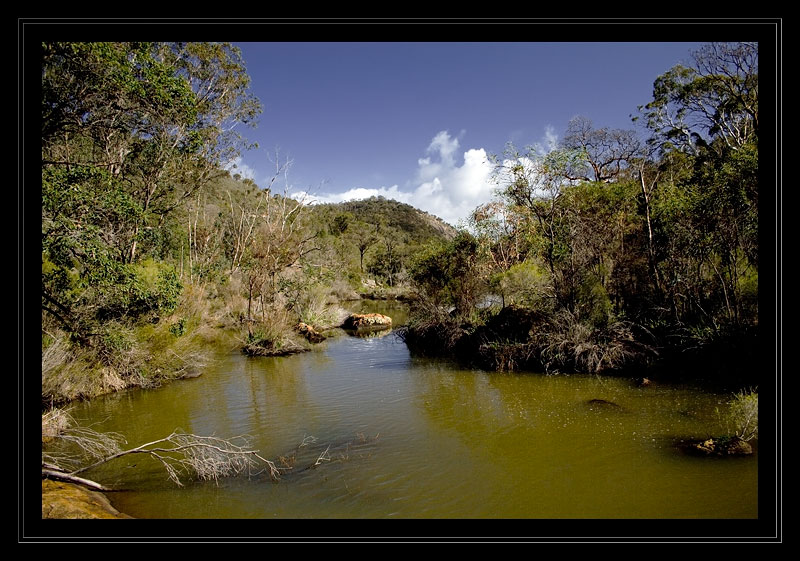 Serpentine River