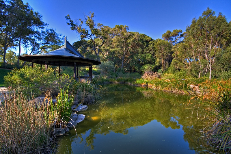 Kings Park Pond