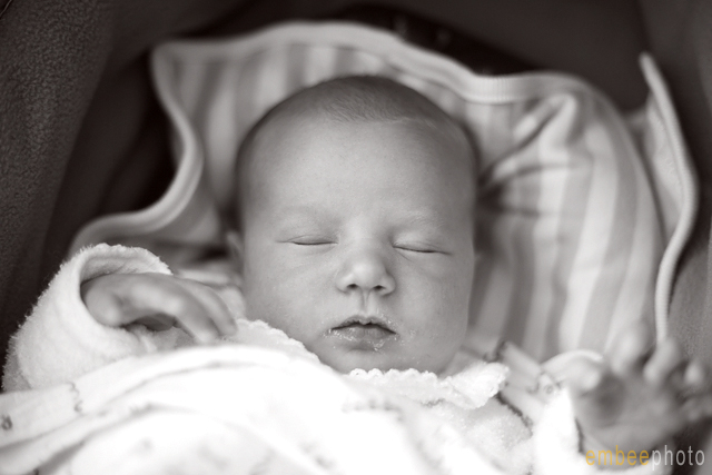 Darcy Jade
