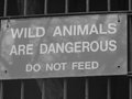 WARNING!