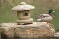 Ducks