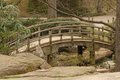 Japanese Bridge