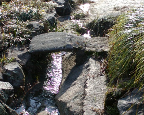 maymont_fall_2003_03.jpg