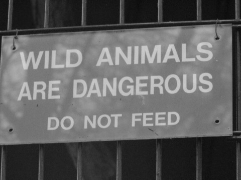 WARNING!