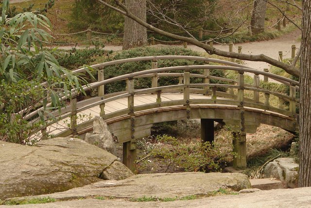 Japanese Bridge