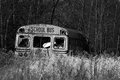 Forgotten Bus