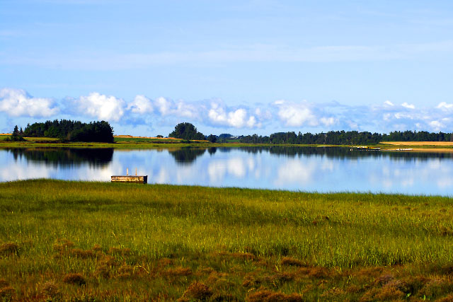 Peaceful Waters
