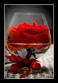 rose water