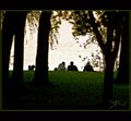 Park at Dusk.jpg