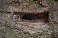 20061110_0042.JPG