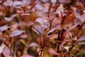 20061110_0043.JPG