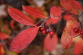 20061110_0055.JPG