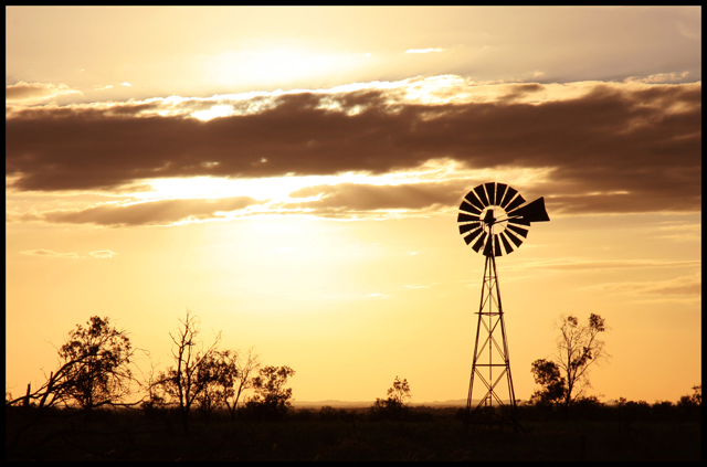 Windmill.jpg