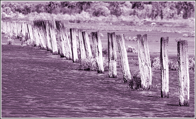 Duotone-7843-copy.jpg