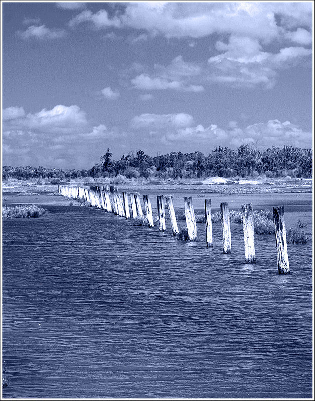 Duotone-A-7837-copy.jpg