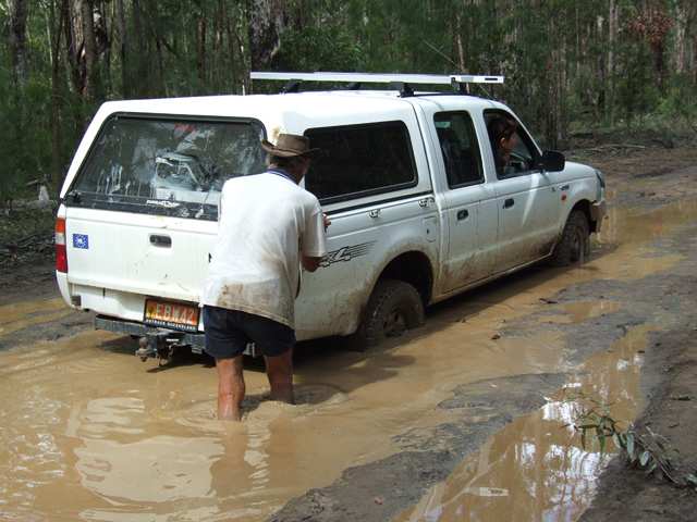 Bogged 1381.jpg