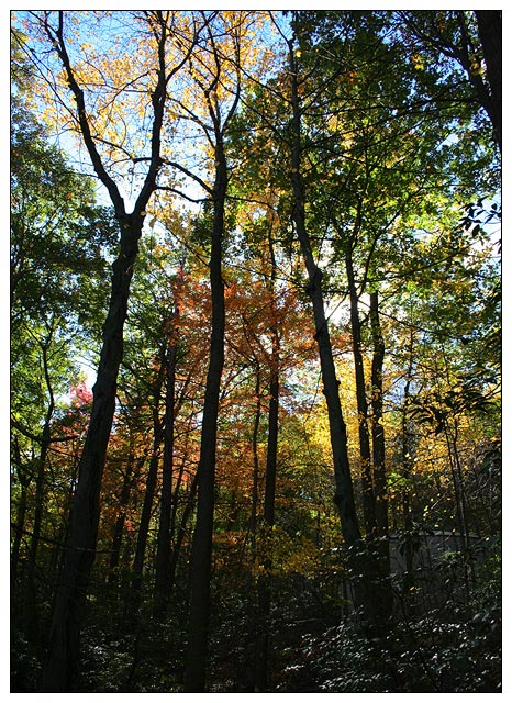 Bear Mtn. 03