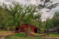 Red Barn
