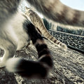 ' . substr('//images.dpchallenge.com/images_portfolio/70000-74999/74559/120/597282.jpg', strrpos('//images.dpchallenge.com/images_portfolio/70000-74999/74559/120/597282.jpg', '/') + 1) . '