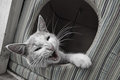 ' . substr('//images.dpchallenge.com/images_portfolio/70000-74999/74559/120/603800.jpg', strrpos('//images.dpchallenge.com/images_portfolio/70000-74999/74559/120/603800.jpg', '/') + 1) . '