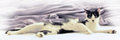 ' . substr('//images.dpchallenge.com/images_portfolio/70000-74999/74559/120/605297.jpg', strrpos('//images.dpchallenge.com/images_portfolio/70000-74999/74559/120/605297.jpg', '/') + 1) . '
