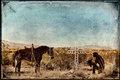 Eternal Home on the Range