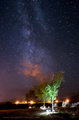 Southern Milky Way