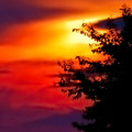 SD8: Sunrise Colors